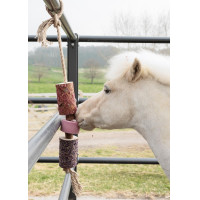 Entspannendes Holzspielzeug Grooming Deluxe mit Salzstein Luftweg Entspannendes Holzspielzeug Grooming Deluxe mit Salzstein Luftweg