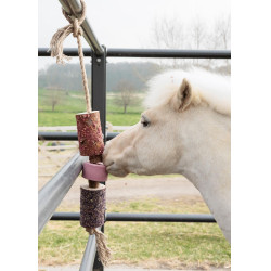 Entspannendes Holzspielzeug Grooming Deluxe mit Salzstein Entspannendes Holzspielzeug Grooming Deluxe mit Salzstein
