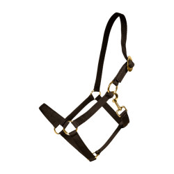 Kentucky-Nylonhalfter Schwarz