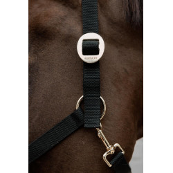 Kentucky-Nylonhalfter Schwarz