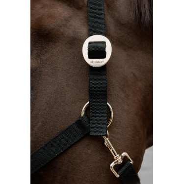 Kentucky-Nylonhalfter Kentucky-Nylonhalfter