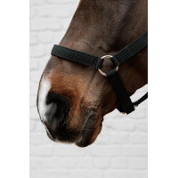 Kentucky-Nylonhalfter Schwarz Kentucky-Nylonhalfter Schwarz