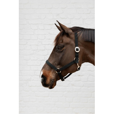 Kentucky-Nylonhalfter Kentucky-Nylonhalfter