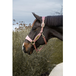 Halfter Velvet Glitzer-Einhorn Kentucky Altrosa Halfter Velvet Glitzer-Einhorn Kentucky Altrosa
