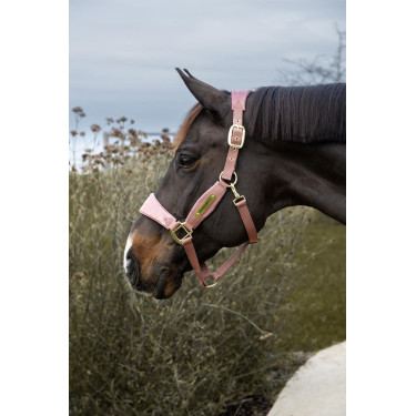 Halfter Velvet Glitzer-Einhorn Kentucky Halfter Velvet Glitzer-Einhorn Kentucky