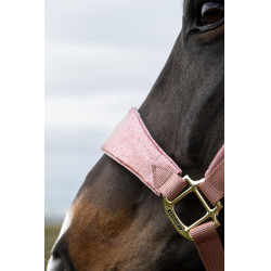 Halfter Velvet Glitzer-Einhorn Kentucky Altrosa Halfter Velvet Glitzer-Einhorn Kentucky Altrosa