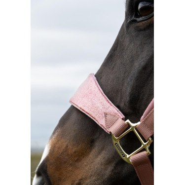 Halfter Velvet Glitzer-Einhorn Kentucky Halfter Velvet Glitzer-Einhorn Kentucky