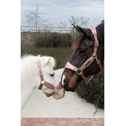 Halfter Velvet Glitzer-Einhorn Kentucky Altrosa Halfter Velvet Glitzer-Einhorn Kentucky Altrosa