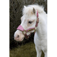 Halfter Velvet Glitzer-Einhorn Kentucky Altrosa