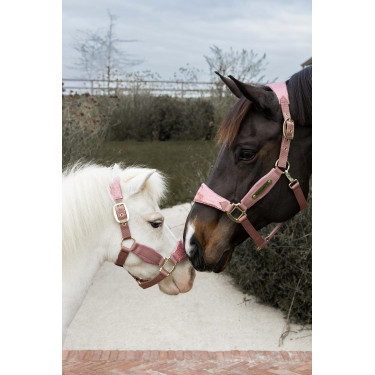 Halfter Velvet Glitzer-Einhorn Kentucky Altrosa