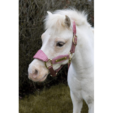Halfter Velvet Glitzer-Einhorn Kentucky Altrosa