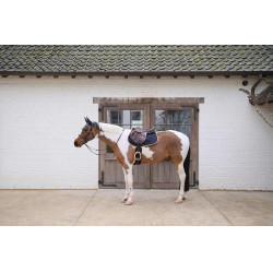 Kentucky Softshell Onion Quilt Springschabracke Marine Marineblau