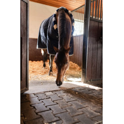 Horseware Newmarket Cosy 100g Stalldecke Marine Witney Marineblau Horseware Newmarket Cosy 100g Stalldecke Marine Witney Marineblau