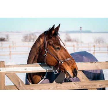 Equithème Tyrex 1200D recycelte Decke Equithème Tyrex 1200D recycelte Decke