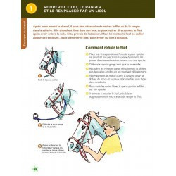 Galopp 1 und 2 Neue Ausgabe