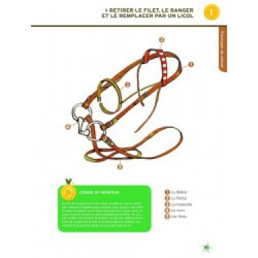 Galopp 1 und 2 Neue Ausgabe Galopp 1 und 2 Neue Ausgabe