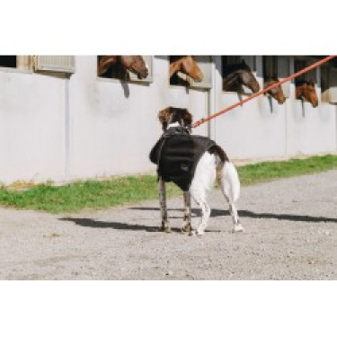 Hundedecke Equithème Softshell Hundedecke Equithème Softshell