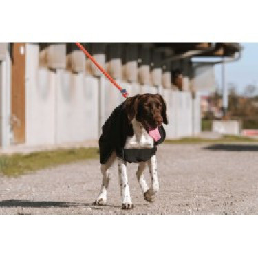 Hundedecke Equithème Softshell Hundedecke Equithème Softshell