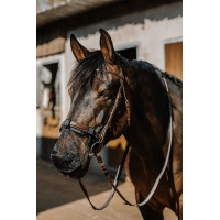 UV-Schutz Nasenschutz Equithème Schwarz UV-Schutz Nasenschutz Equithème Schwarz