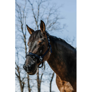 UV-Schutz Nasenschutz Equithème