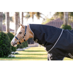 Horseware Amigo 1200D Plus Poney Turnout 250g Decke Schwarz / Titan Grau / Silber Horseware Amigo 1200D Plus Poney Turnout 250g Decke Schwarz / Titan Grau / Silber