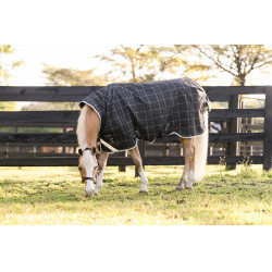 Horseware Amigo 1200D Pony Turnout 50g Decke Schwarz / Titan Grau / Silber Horseware Amigo 1200D Pony Turnout 50g Decke Schwarz / Titan Grau / Silber