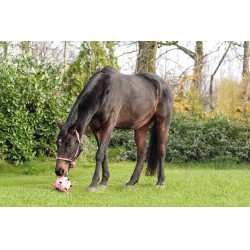 HKM Spielball Pferde Fun HKM Spielball Pferde Fun