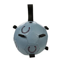 HKM Spielball Pferde Fun Blaugrau