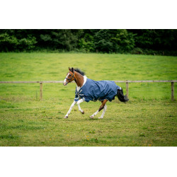 Horseware Amigo 1200D XL Turnout 150g Decke Marine / Titan Grau / Silber Marineblau