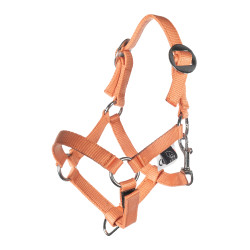 Halfter und Führstrick HKM Hobby Horsing Basic Halfter und Führstrick HKM Hobby Horsing Basic