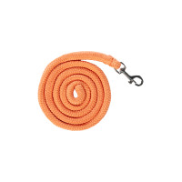 Halfter und Führstrick HKM Hobby Horsing Basic Orange