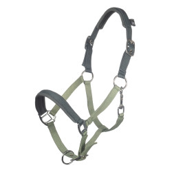 Halfter HKM Barnie Hellgrün / Dunkelgrün