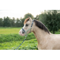 Halfter HKM Barnie Rauchblau / Rosa