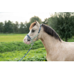 Halfter HKM Barnie Hellgrün / Dunkelgrün