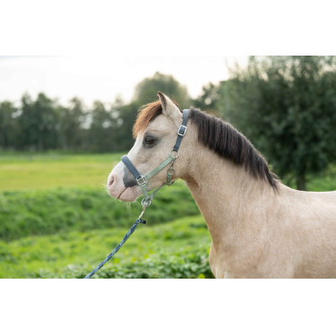 Halfter HKM Barnie Hellgrün / Dunkelgrün