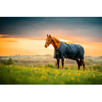 Horseware Amigo Ripstop 900D Poney Turnout 100g Decke Marine Witney Marineblau