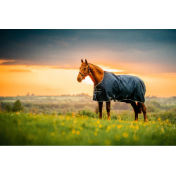 Horseware Amigo Ripstop 900D Poney Turnout 100g Decke Marine Witney Marineblau
