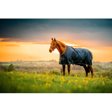 Horseware Amigo Ripstop 900D Poney Turnout 100g Decke Marine Witney Marineblau
