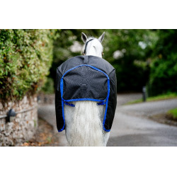 Horseware Amigo Ripstop 900D Pony Turnout 50g Decke Schwarz / Klassisches Blau