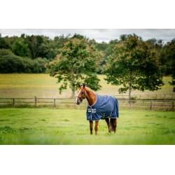 Horseware Amigo Ripstop 900D Turnout 100g Decke Marine / Titan Grau Marineblau Horseware Amigo Ripstop 900D Turnout 100g Decke Marine / Titan Grau Marineblau