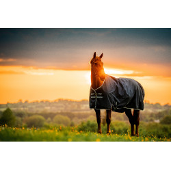 Horseware Amigo Ripstop 900D Turnout 100g Decke Marine Witney Marineblau