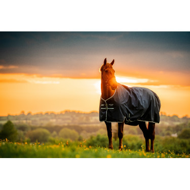 Horseware Amigo Ripstop 900D Turnout 200g Decke Marine Witney Marineblau