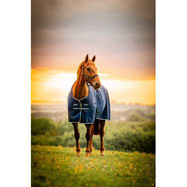 Horseware Amigo Ripstop 900D Turnout 200g Decke Marine Witney Marineblau