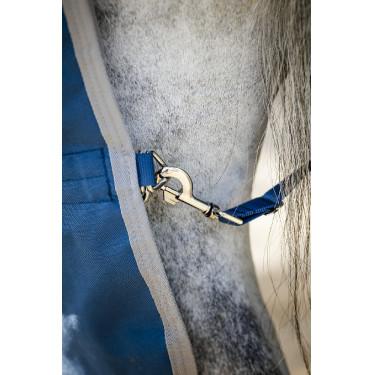 Horseware Ionic Therapy Turnout 100g Decke Horseware Ionic Therapy Turnout 100g Decke