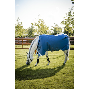 Horseware Ionic Therapy Turnout 100g Decke Horseware Ionic Therapy Turnout 100g Decke