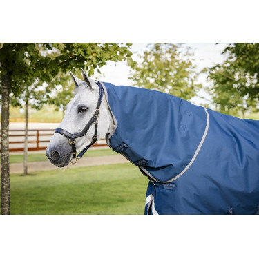 Horseware Ionic Therapy Turnout 100g Decke Horseware Ionic Therapy Turnout 100g Decke