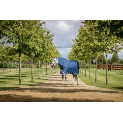 Horseware Ionic Therapy Turnout 100g Decke Bleu imperial / argent /Marine Blau