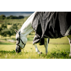 Horseware Rambo 1680D Turnout 450g VL Decke Schwarz / Sturm / Silbergrau Horseware Rambo 1680D Turnout 450g VL Decke Schwarz / Sturm / Silbergrau