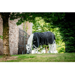 Horseware Rambo 1680D Turnout 450g VL Decke Schwarz / Sturm / Silbergrau Horseware Rambo 1680D Turnout 450g VL Decke Schwarz / Sturm / Silbergrau