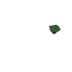 Satteldecke LeMieux Toy Pony Jägergrün Gr&uuml;n